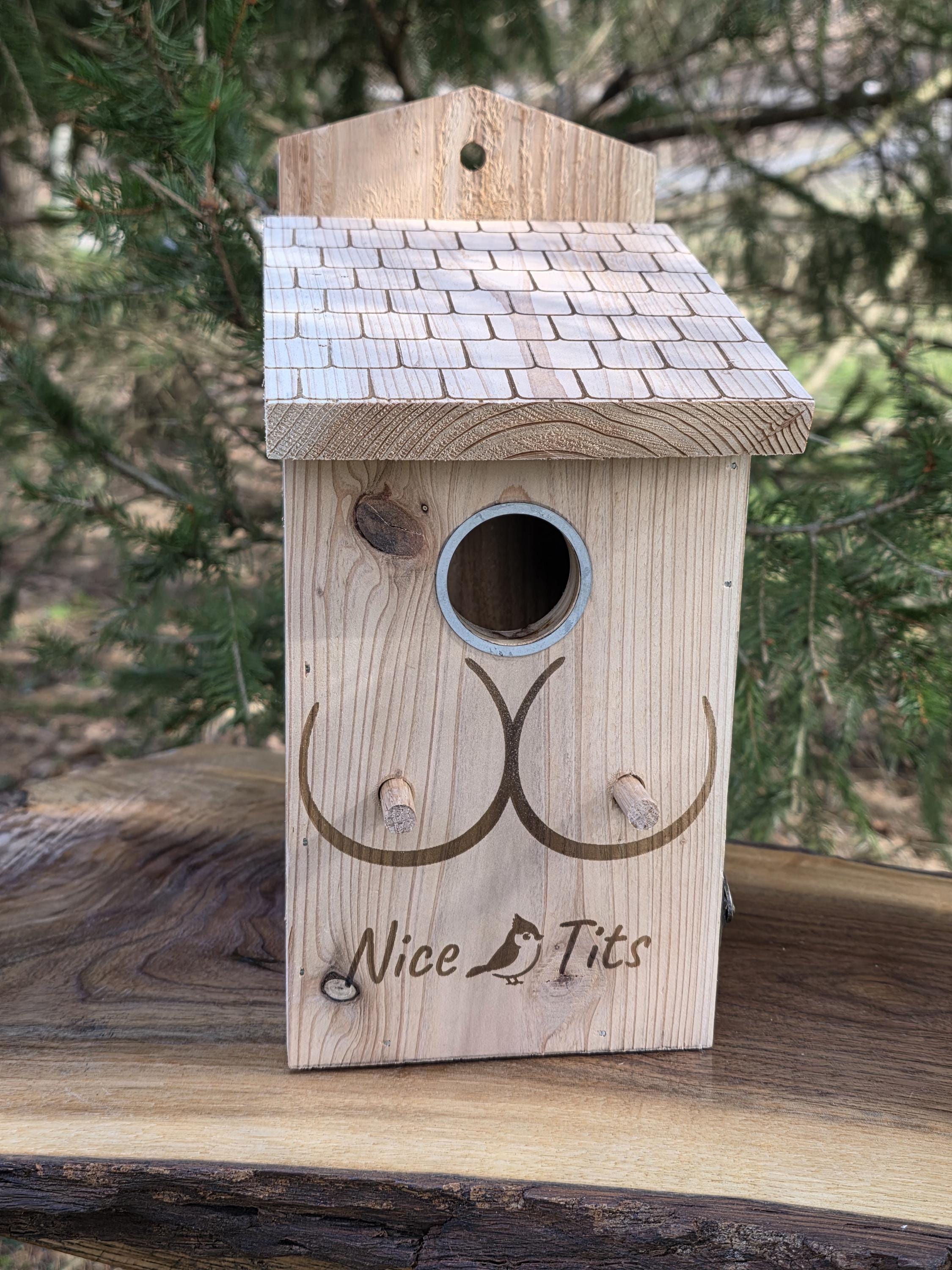 Cedar Titmouse Birdhouse – "Nice Tits" Funny Decor With viewing window– Bird Pun for bird lover